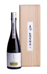 Daishinshu GI-NAGANO Hikarisasu